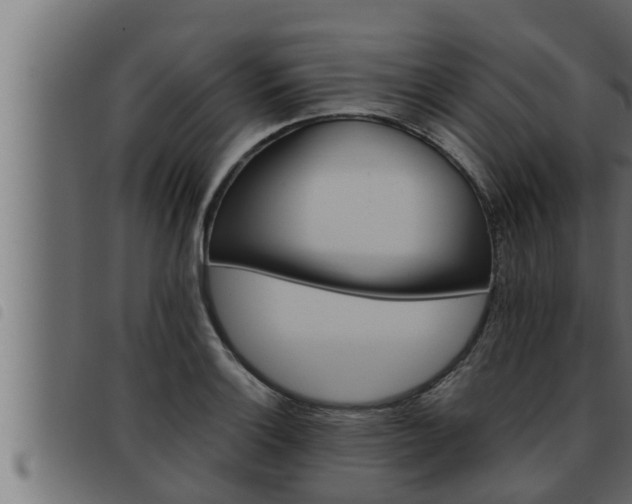 X0000093491132200710121501