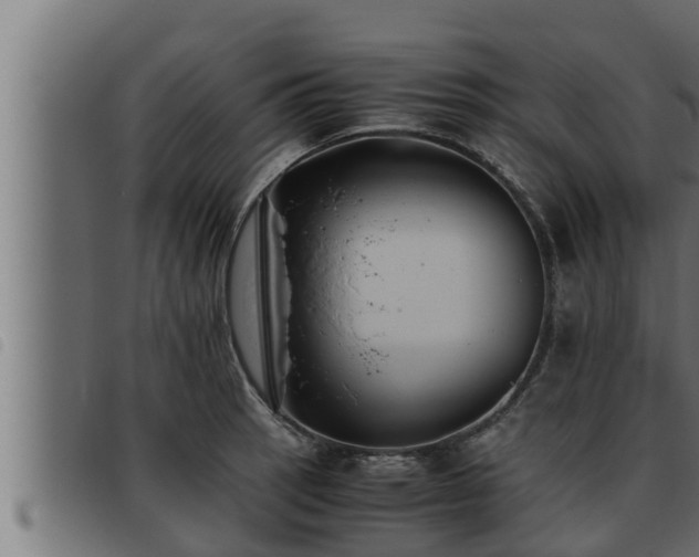 X0000093491137200710121501