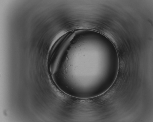 X0000093491138200710121501