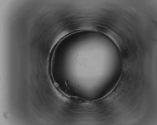 X0000093491139200710121501