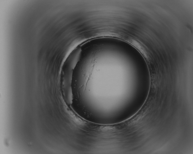 X0000093491140200710121501