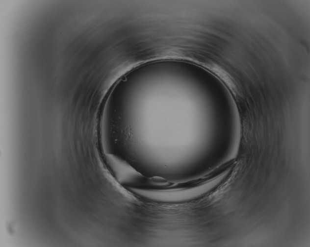 X0000093491142200710121501