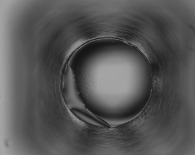 X0000093491143200710121501