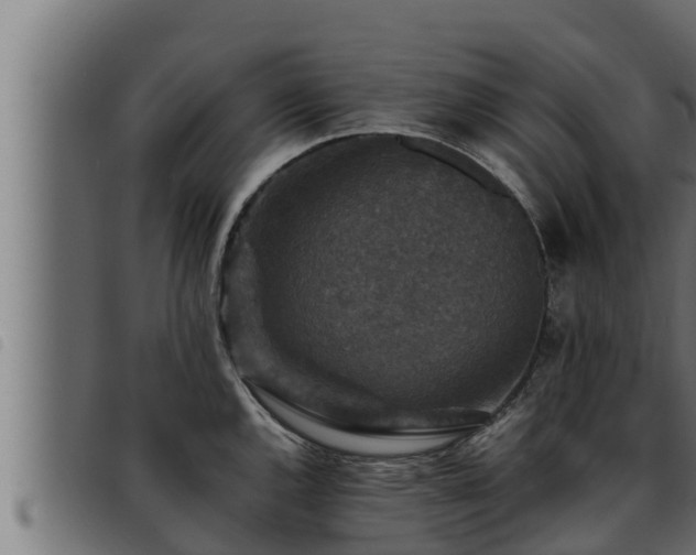 X0000093491144200710121501