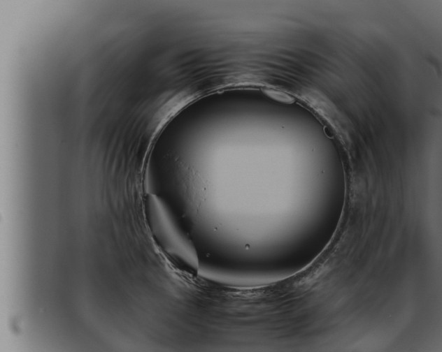 X0000093491145200710121501
