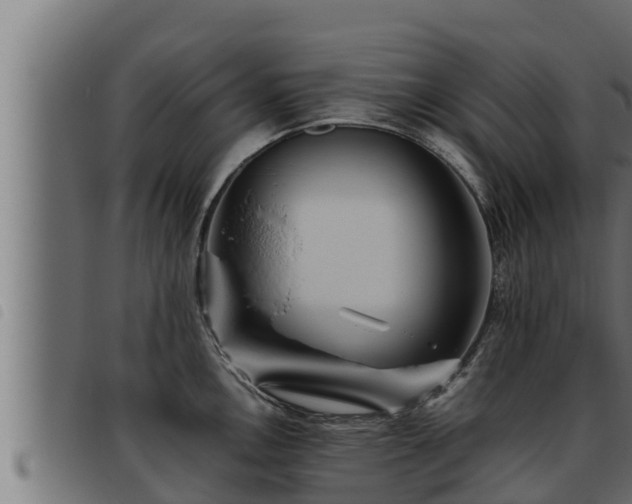X0000093491146200710121501