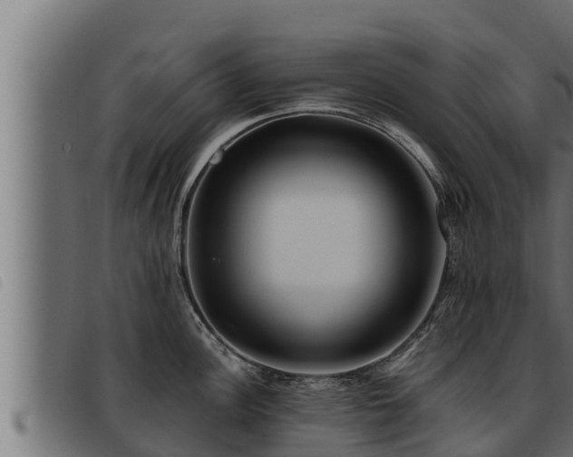 X0000093491148200710121501