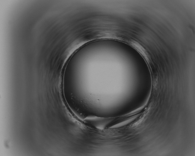 X0000093491149200710121501
