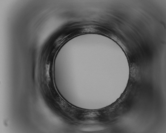 X0000093491150200710121501