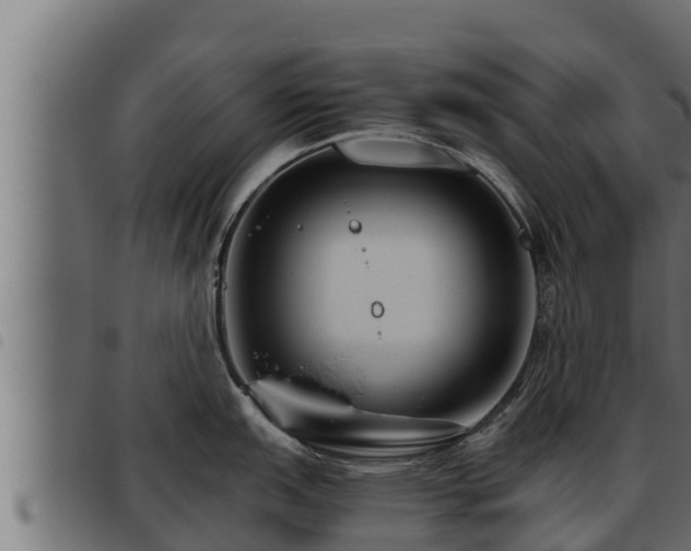 X0000093491151200710121501
