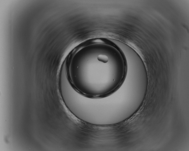 X0000093491152200710121501