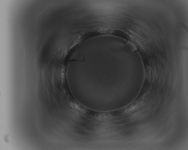 X0000093491154200710121501