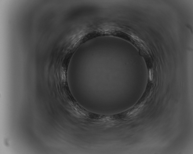 X0000093491155200710121501