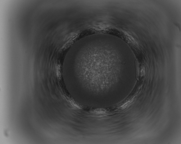 X0000093491156200710121501