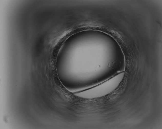 X0000093491159200710121500