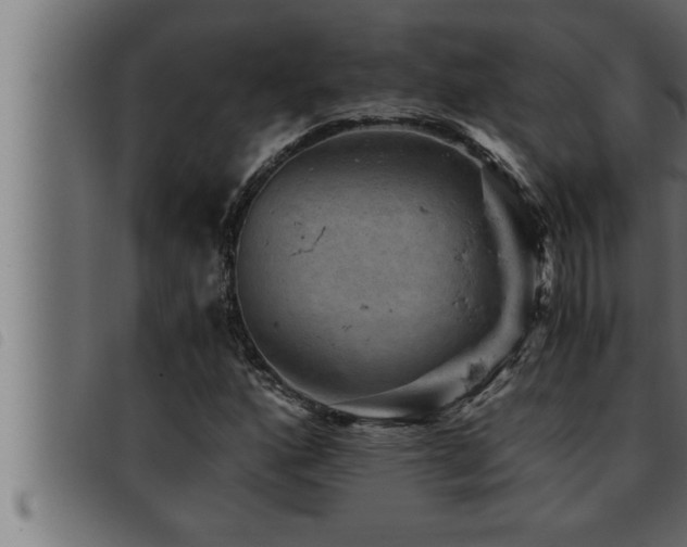 X0000093491160200710121500