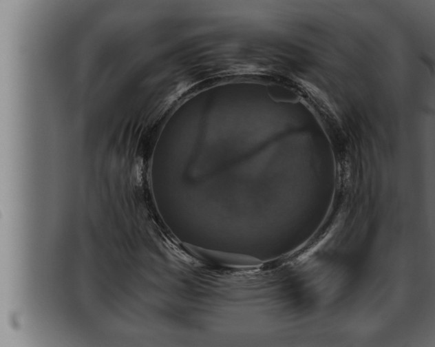 X0000093491161200710121500