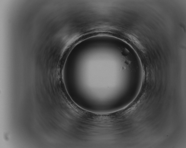 X0000093491164200710121500