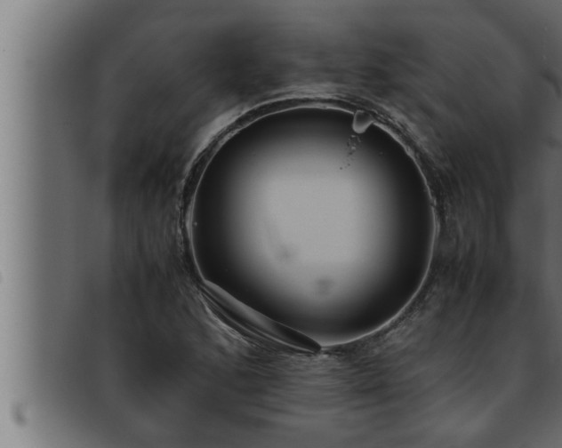X0000093491168200710121500