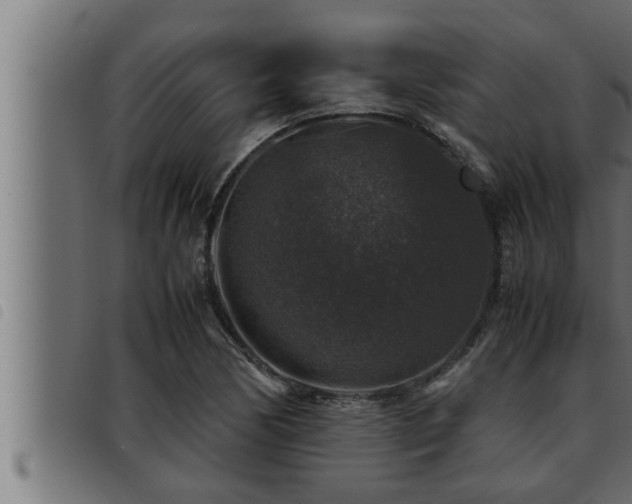 X0000093491170200710121500