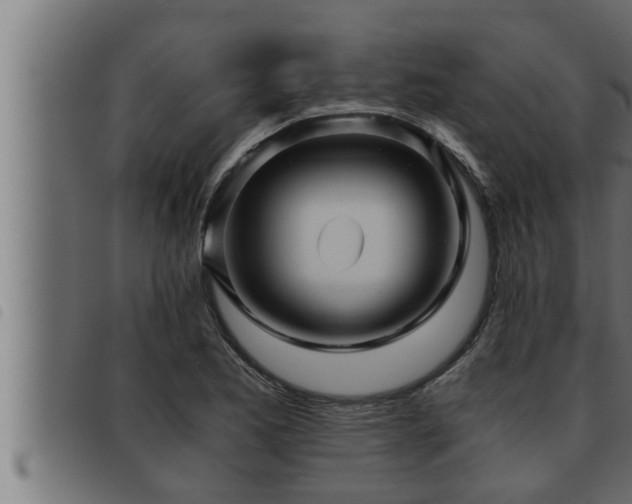 X0000093491173200710121500
