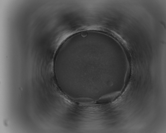 X0000093491174200710121500