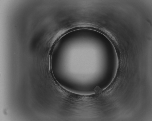 X0000093491175200710121500