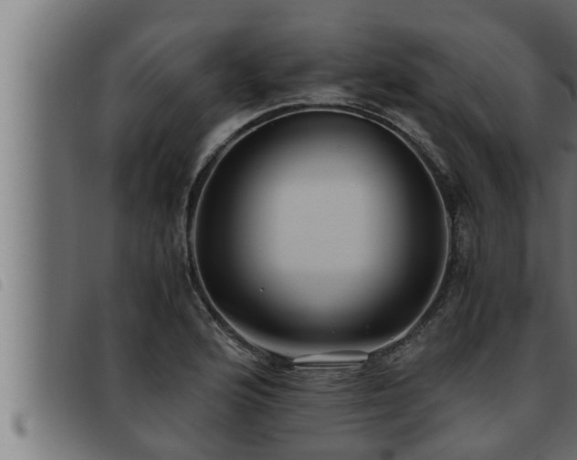 X0000093491176200710121500