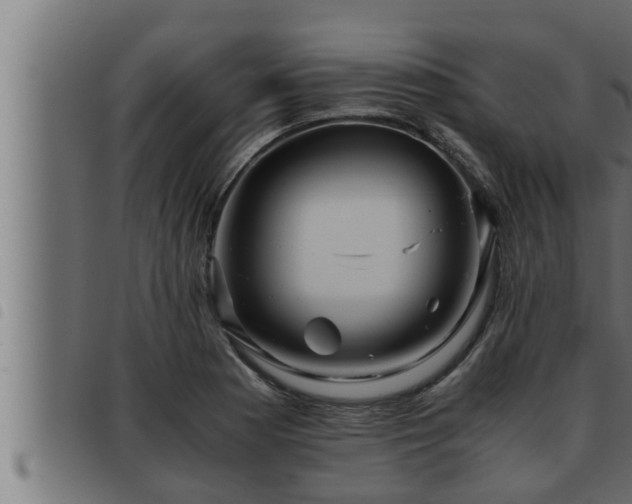 X0000093491177200710121500
