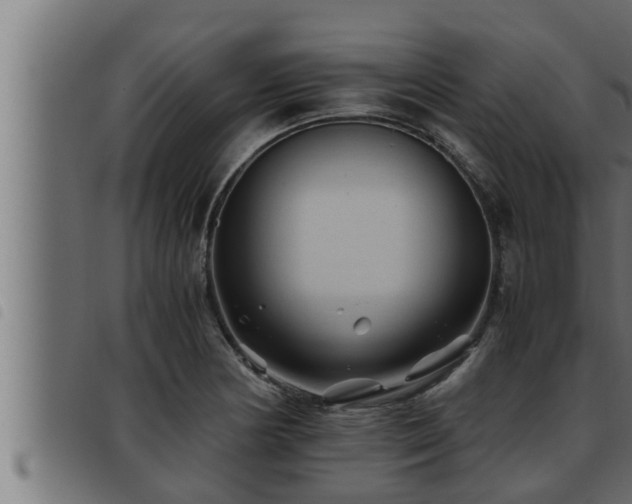 X0000093491178200710121500