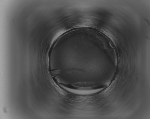 X0000093491179200710121500