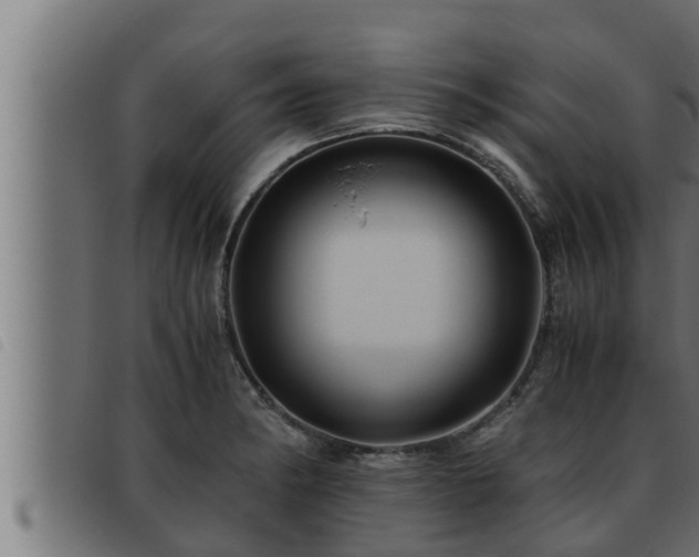 X0000093491182200710121500