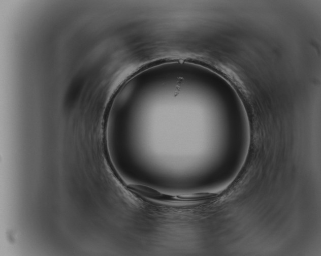 X0000093491183200710121500