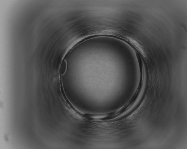 X0000093491184200710121500