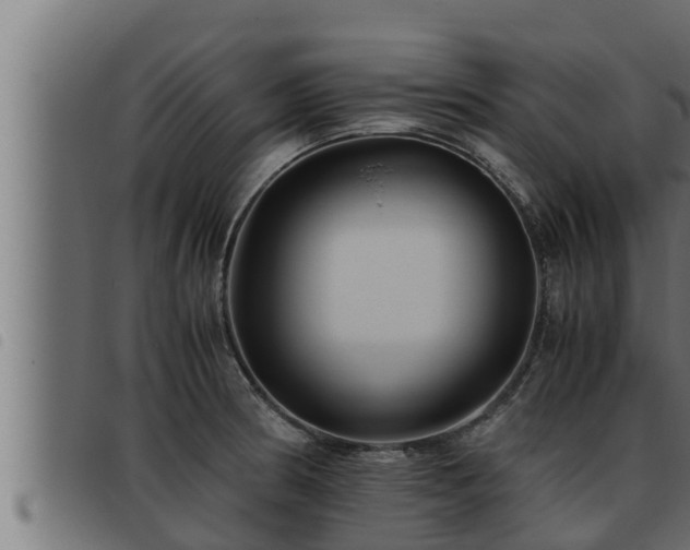 X0000093491186200710121500