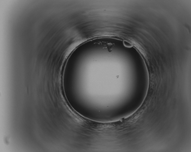 X0000093491187200710121500