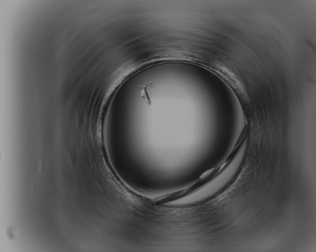 X0000093491188200710121500