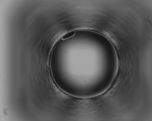 X0000093491189200710121500