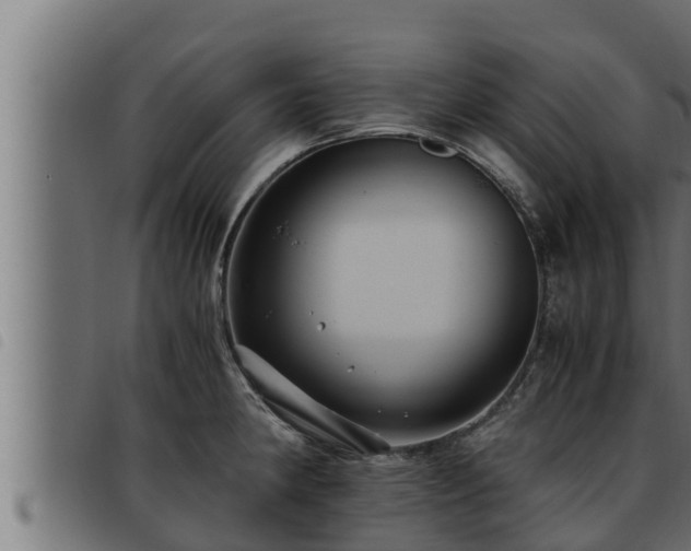 X0000093491190200710121500
