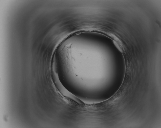 X0000093491191200710121500