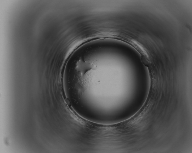 X0000093491192200710121500