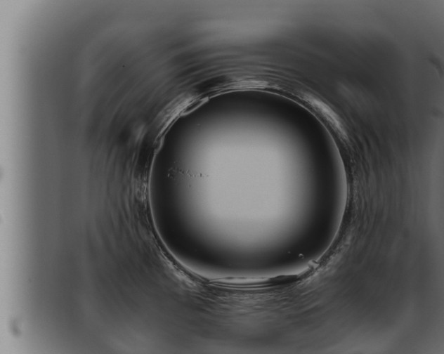 X0000093491193200710121500