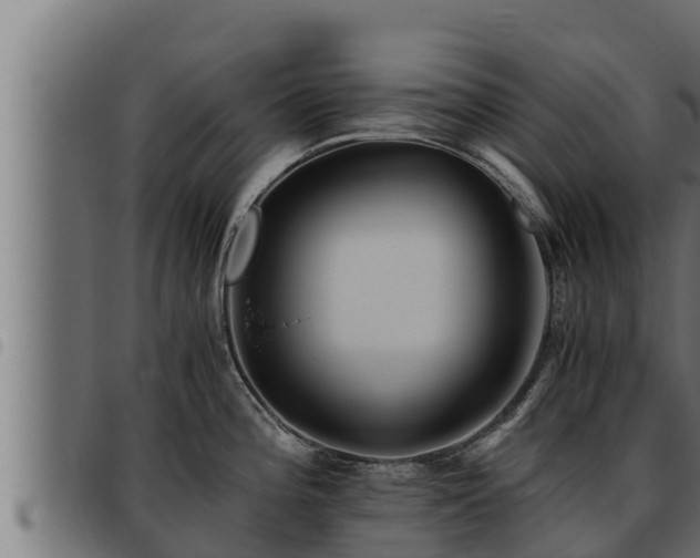X0000093491196200710121500