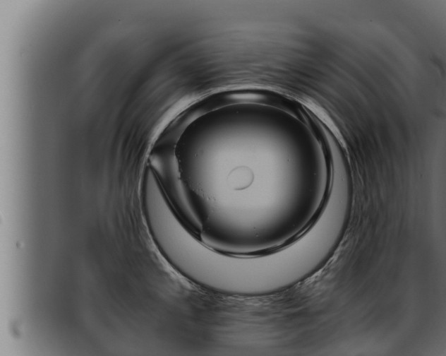 X0000093491197200710121500