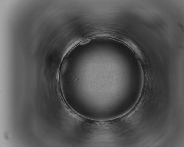 X0000093491198200710121500