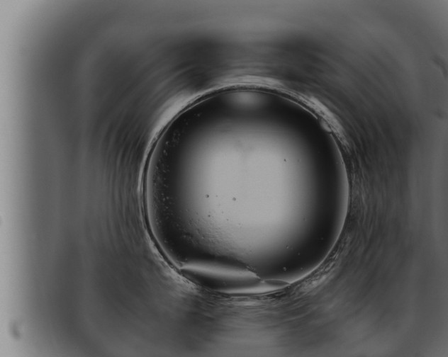 X0000093491199200710121500