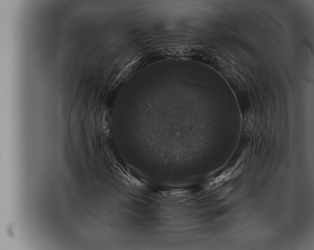X0000093491202200710121459