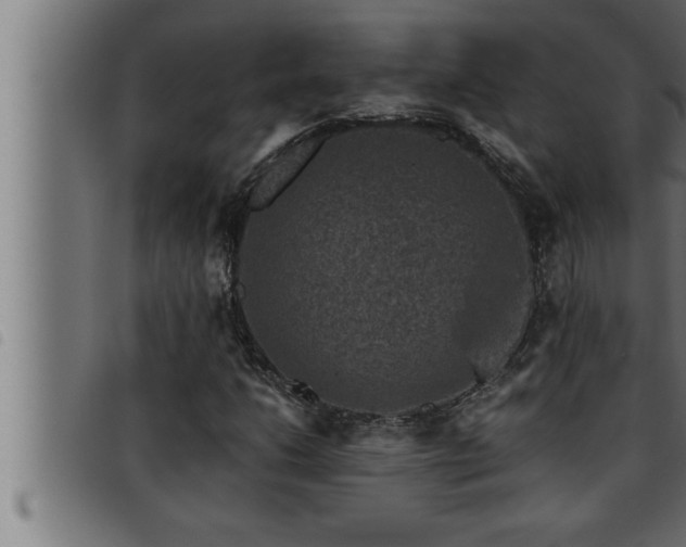 X0000093491206200710121459