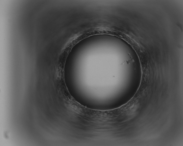 X0000093491207200710121459