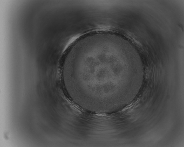 X0000093491208200710121459